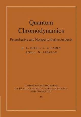 Quantum Chromodynamics