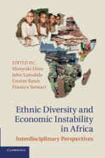 Ethnic Diversity and Economic Instability in Africa