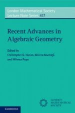 Recent Advances in Algebraic Geometry