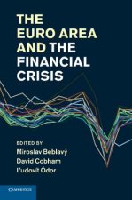 Euro Area and the Financial Crisis