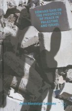Edward Said on the Prospects of Peace in Palestine and Israel