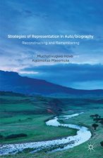 Strategies of Representation in Auto/biography