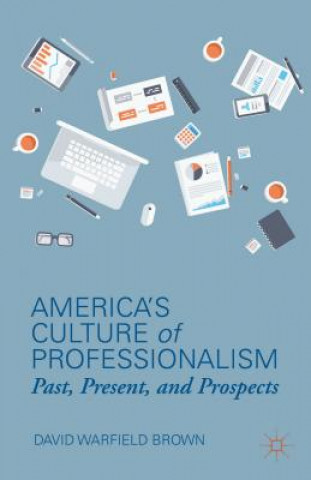 America's Culture of Professionalism