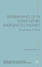 Determinants of FDI Flows within Emerging Economies