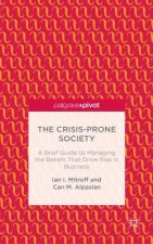 Crisis-Prone Society: A Brief Guide to Managing the Beliefs that Drive Risk in Business