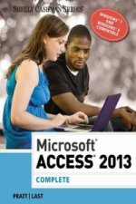 Microsoft (R) Access 2013