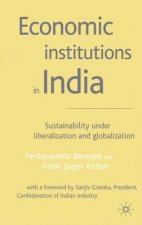Economic Institutions in India