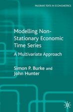 Modelling Non-stationary Economic Time Series