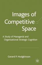 Images of Competitive Space