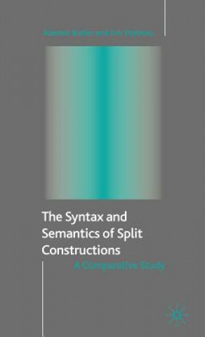 Syntax and Semantics of Split Constructions