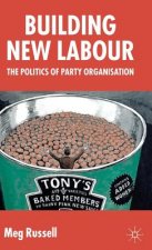 Building New Labour