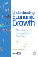 Understanding Economic Growth