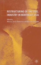 Restructuring of the Steel Industry in Northeast Asia