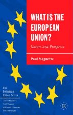 What is the European Union