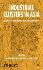 Industrial Clusters in Asia