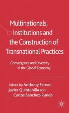 Multinationals, Institutions and the Construction of Transnational Practices