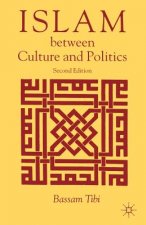 Islam Between Culture and Politics