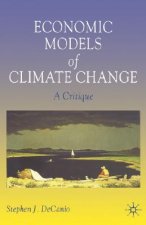 Economic Models of Climate Change