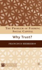Problem of Forming Social Capital