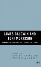 James Baldwin and Toni Morrison: Comparative Critical and Theoretical Essays