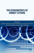 Econometrics of Energy Systems