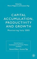 Capital Accumulation, Productivity and Growth