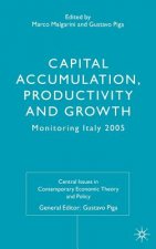 Capital Accumulation, Productivity and Growth