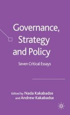 Governance, Strategy and Policy