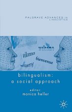 Bilingualism: A Social Approach