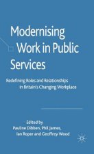 Modernising Work in Public Services