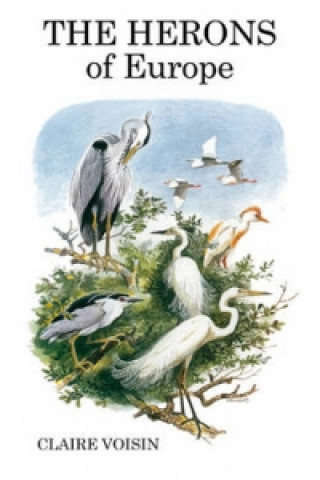 Herons of Europe