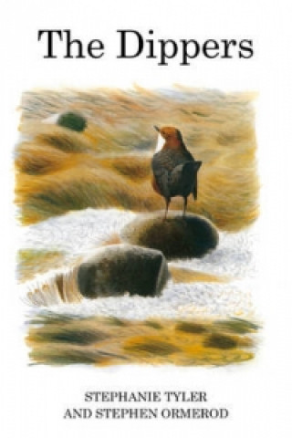 Dippers