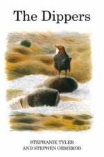 Dippers