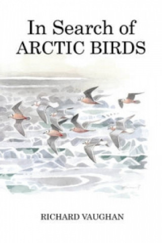 In Search of Arctic Birds