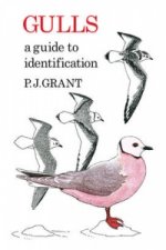 Gulls: A Guide to Identification. 2nd Edition