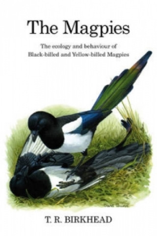 Magpies: The Ecology and Behaviour of Black-Billed and Yellow-Billed Magpies