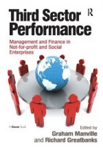 Third Sector Performance