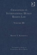 Challenges in International Human Rights Law