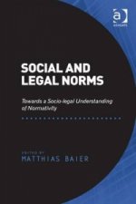 Social and Legal Norms