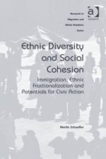 Ethnic Diversity and Social Cohesion