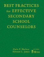 Best Practices for Effective Secondary School Counselors