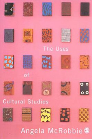 Uses of Cultural Studies