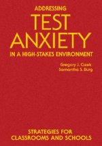 Addressing Test Anxiety in a High-Stakes Environment