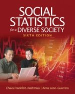 Social Statistics for a Diverse Society