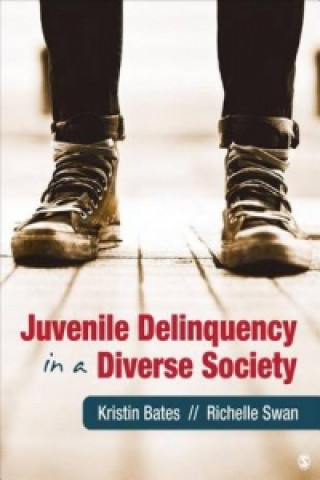 Juvenile Delinquency in a Diverse Society