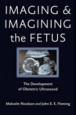 Imaging and Imagining the Fetus