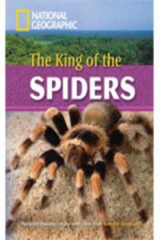 King of the Spiders