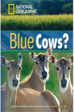 Blue Cows? + Book with Multi-ROM