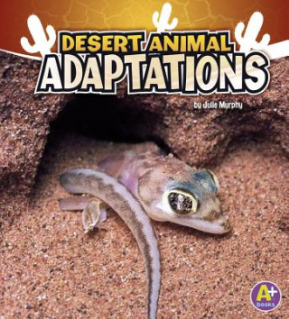 Desert Animal Adaptions