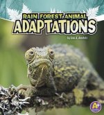 Rainforest Animal Adaptions